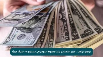 تراجع مرتقب.. خبير اقتصادي يتنبأ بهبوط الدولار إلى مستوى 36 جنيهًا قريبًا